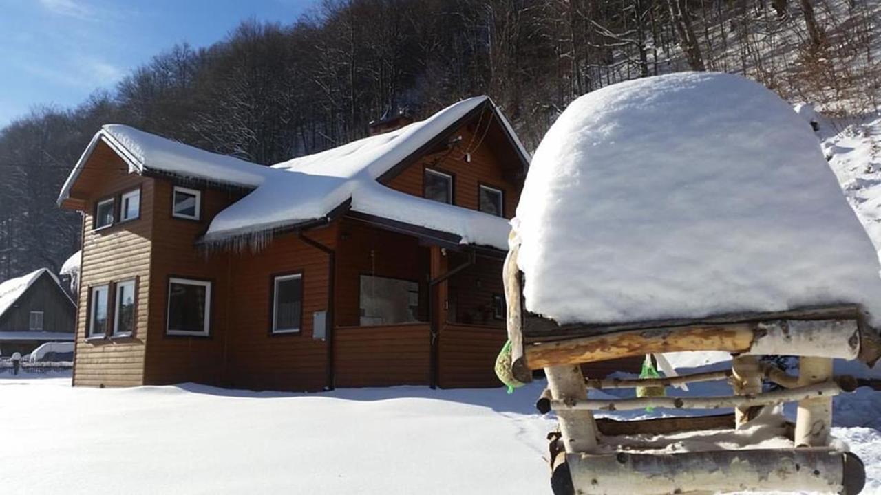 Villa Bieszczadzki Klin Bklin Cisna Exterior foto